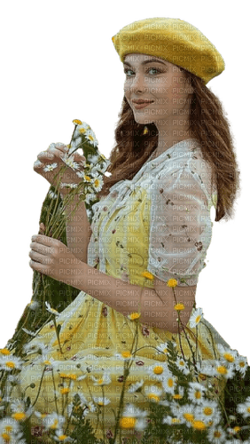 Marguerites - Free PNG