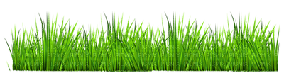 Kaz_Creations Garden-Deco-Grass - Free PNG