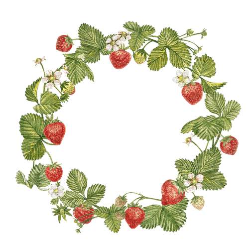 Strawberry.Frame.Cadre.Round.Victoriabea - 無料png