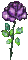fleur - Δωρεάν κινούμενο GIF