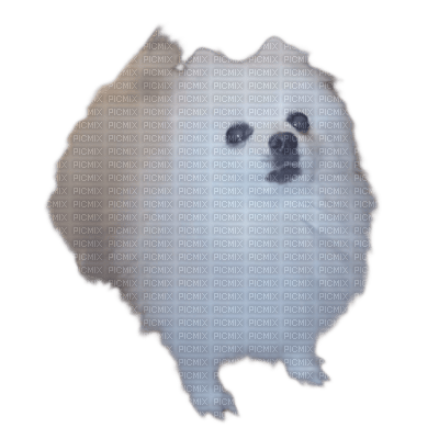 Gabe the dog - Free PNG
