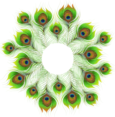 Peacock feather - ilmainen png
