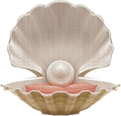 oyster Bb2 - PNG gratuit