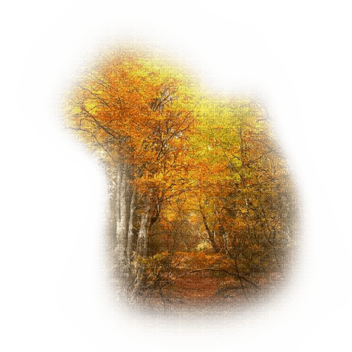 Landschaft, Wald, Herbst - png gratuito