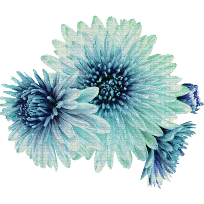 flower-blue-minou52 - zdarma png