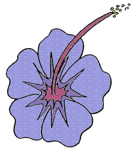 hibiscus - Gratis geanimeerde GIF