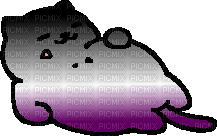 Asexual Tubbs the cat - PNG gratuit