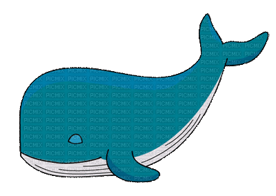 blue whale - Zdarma animovaný GIF