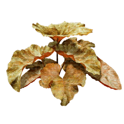 Planta de otoño - zdarma png