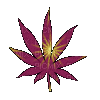 cannabis - Zdarma animovaný GIF