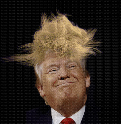 trump flinig hair - GIF animado grátis