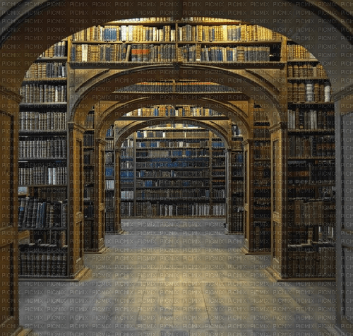 Rena Bibliothek Hintergrund Background - kostenlos png
