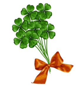 Kaz_Creations St.Patricks Day Deco - 無料png