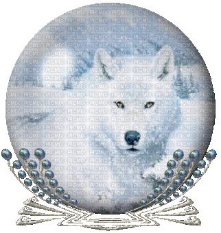 Wolfs Kugel - Gratis animeret GIF