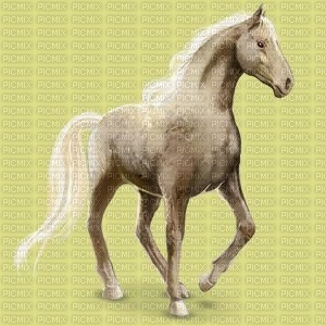 cheval Lune - PNG gratuit