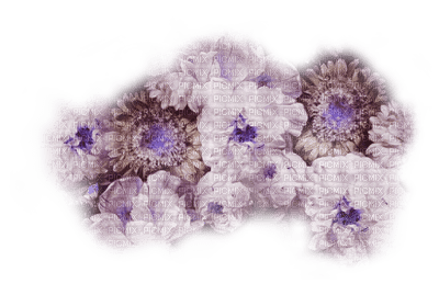 deco fleur flower - PNG gratuit