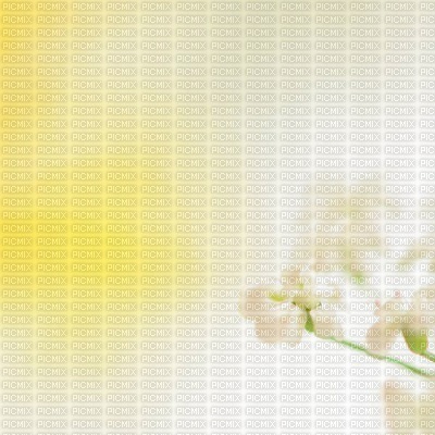 Kaz_Creations Deco  Flowers Backgrounds Background Colours - 無料png