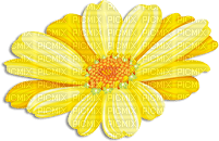 soave deco flowers spring summer scrap yellow - PNG gratuit