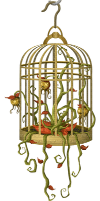 bird cage anastasia - bezmaksas png