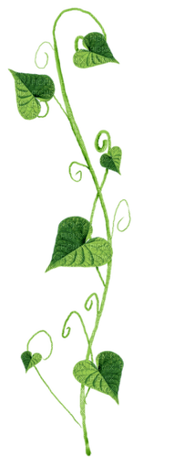 dolceluna green leaves leaf - фрее пнг