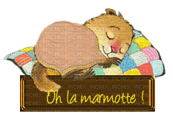 oh la marmotte - Free animated GIF