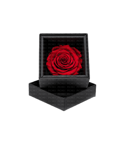 Box Rose Black - Bogusia - 免费PNG