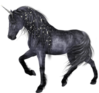 cecily-belle licorne noire - ilmainen png
