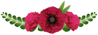 Kaz_Creations Flowers Flower - 免费PNG
