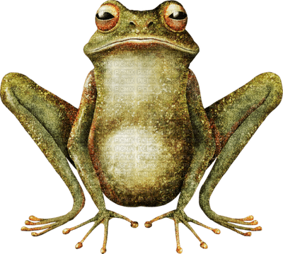 Kaz_Creations Frogs Frog - bezmaksas png