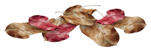 Autumn  Leaf - Bogusia - PNG gratuit
