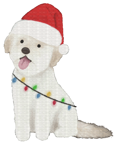 Christmas.Dog.Chien.Noël.gif.Victoriabea - GIF เคลื่อนไหวฟรี