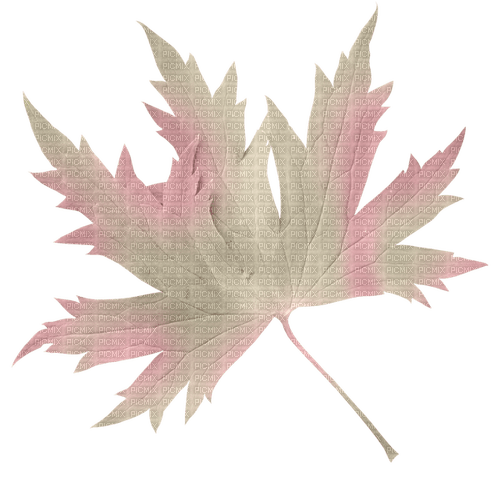pink maple leaf Bb2 - ingyenes png
