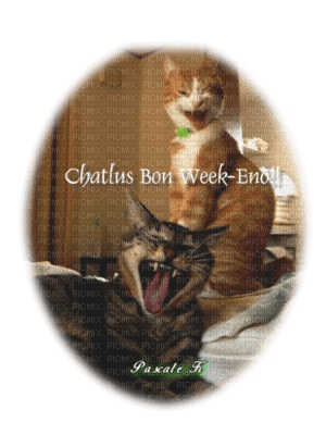 Chatlus Bon Week-End - gratis png