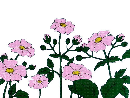 цветы - Бесплатный анимированный гифка