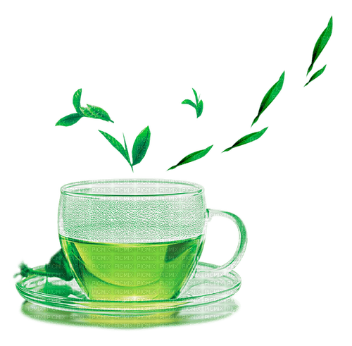 Green Tea - ilmainen png