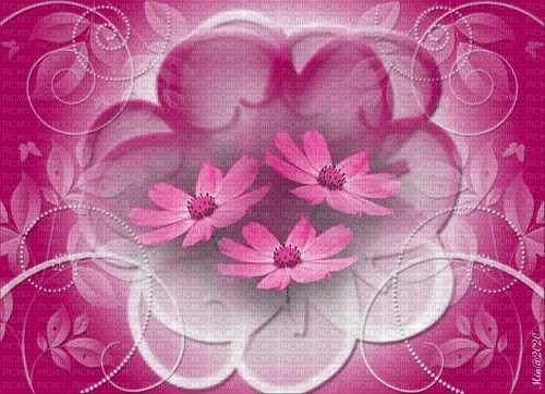 bg-rosa-blommor-- background-pink-flowers - png ฟรี