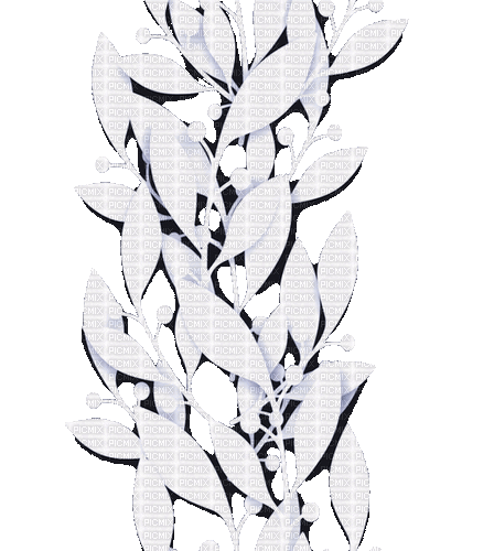 black white milla1959 - 免费动画 GIF