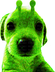 alien dog - 免费PNG