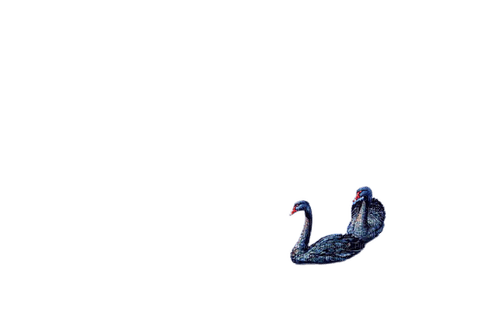 cisne swan cygne Rosalia73 - png gratuito