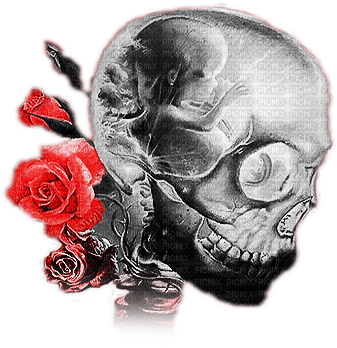 soave deco gothic skull flowers rose black - 免费PNG