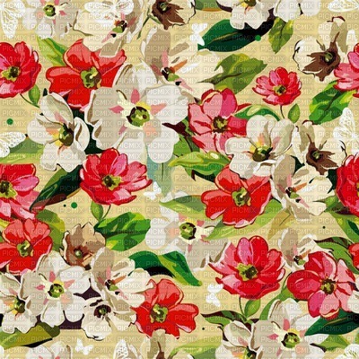 Kaz_Creations Deco Flowers   Backgrounds Background Colours - png gratis