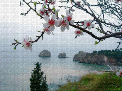 paisagem - Gratis geanimeerde GIF