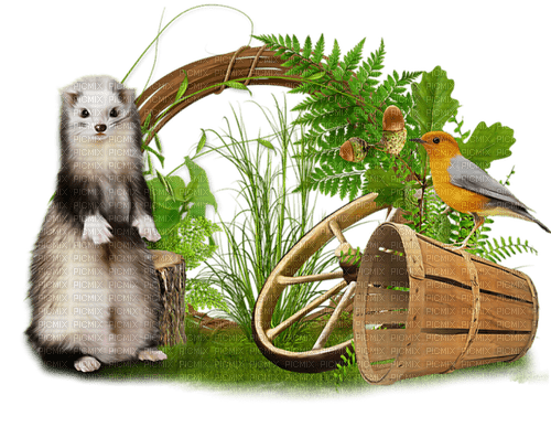 animals by nataliplus - zdarma png