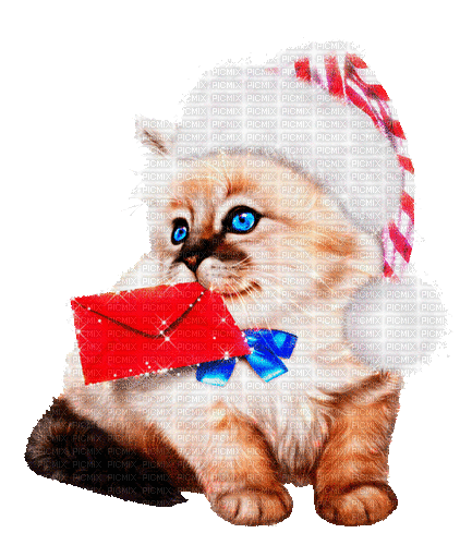 christmas cat by nataliplus - Animovaný GIF zadarmo