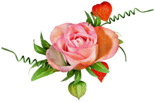 kikkapink deco scrap  rose pink flower - PNG gratuit