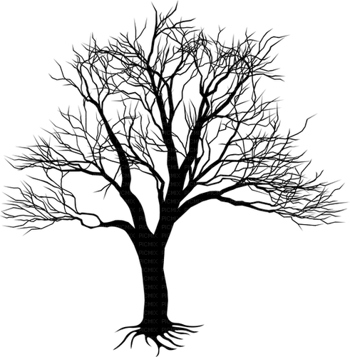 dead tree - PNG gratuit