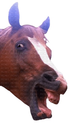 Kaz_Creations  Horse - besplatni png