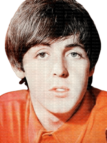 Paul McCartney - besplatni png