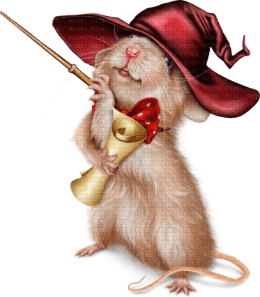 El Ratón brujo - nemokama png