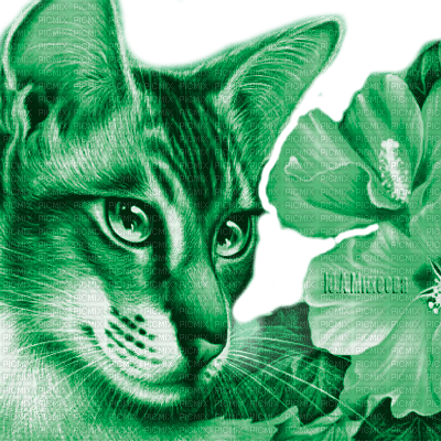Y.A.M._Art Fantasy cat green - png gratis